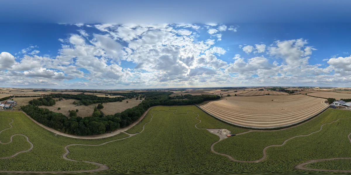 360 aerial photograph of sunflowers in Lincolnshire.