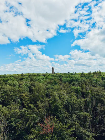 Pelham's Pillar — photo 1 of 5
